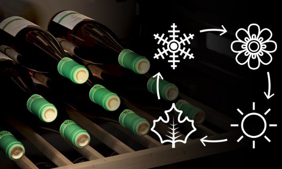 WINO PRZEZ CZTERY PORY ROKU - JAK ZMIENIA SIĘ SMAK  I WYBÓR TRUNKU W ZALEŻNOŚCI OD SEZONU