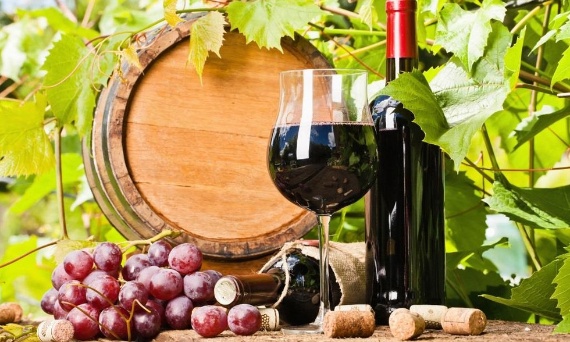 WINO OWOCOWE - WINO MŁODE I ICH PRODUKCJA