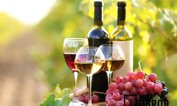 Z JAKICH OWOCÓW POWSTAJĄ NAJLEPSZE WINA?