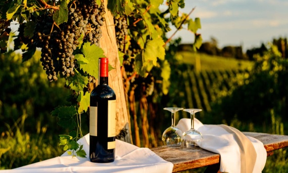 WINO W PODRÓŻY - ODKRYWAMY MAŁO ZNANE REGIONY WINIARSKIE ŚWIATA